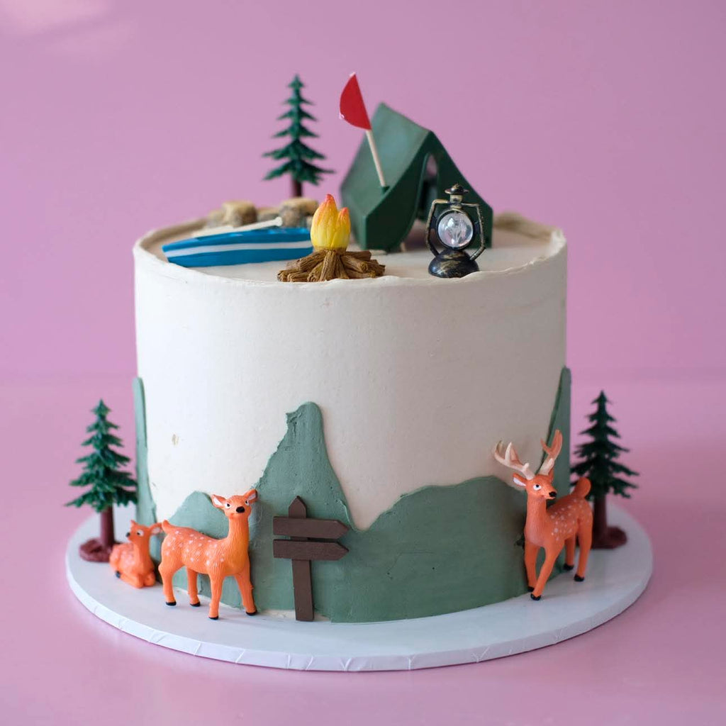 Camping Adventure | Themed Novelty Cake