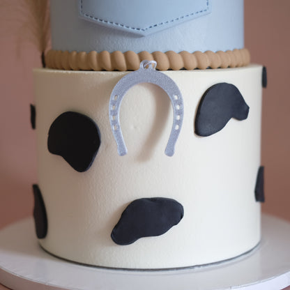 Cowboy Rodeo Cake