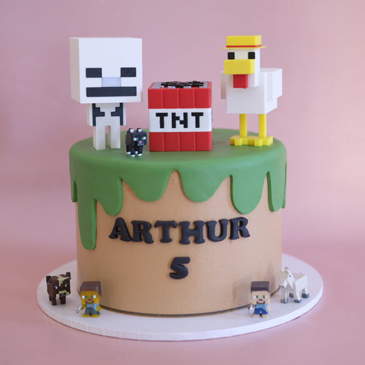 Minecraft Kids Cake