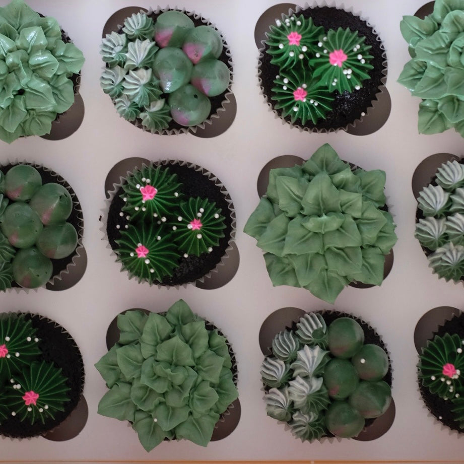 Succulent Garden Cupcake | Box of 12