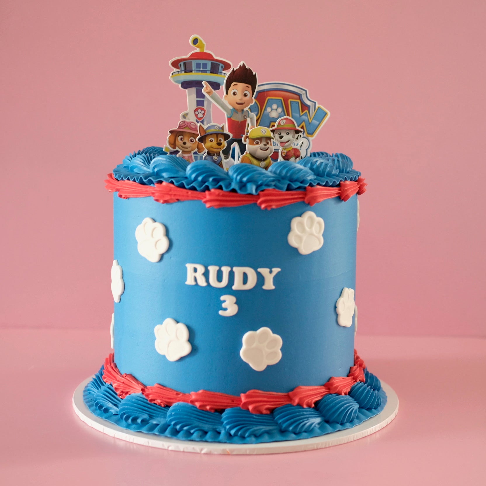 Paw Patrol Adventure | Vintage Round cake