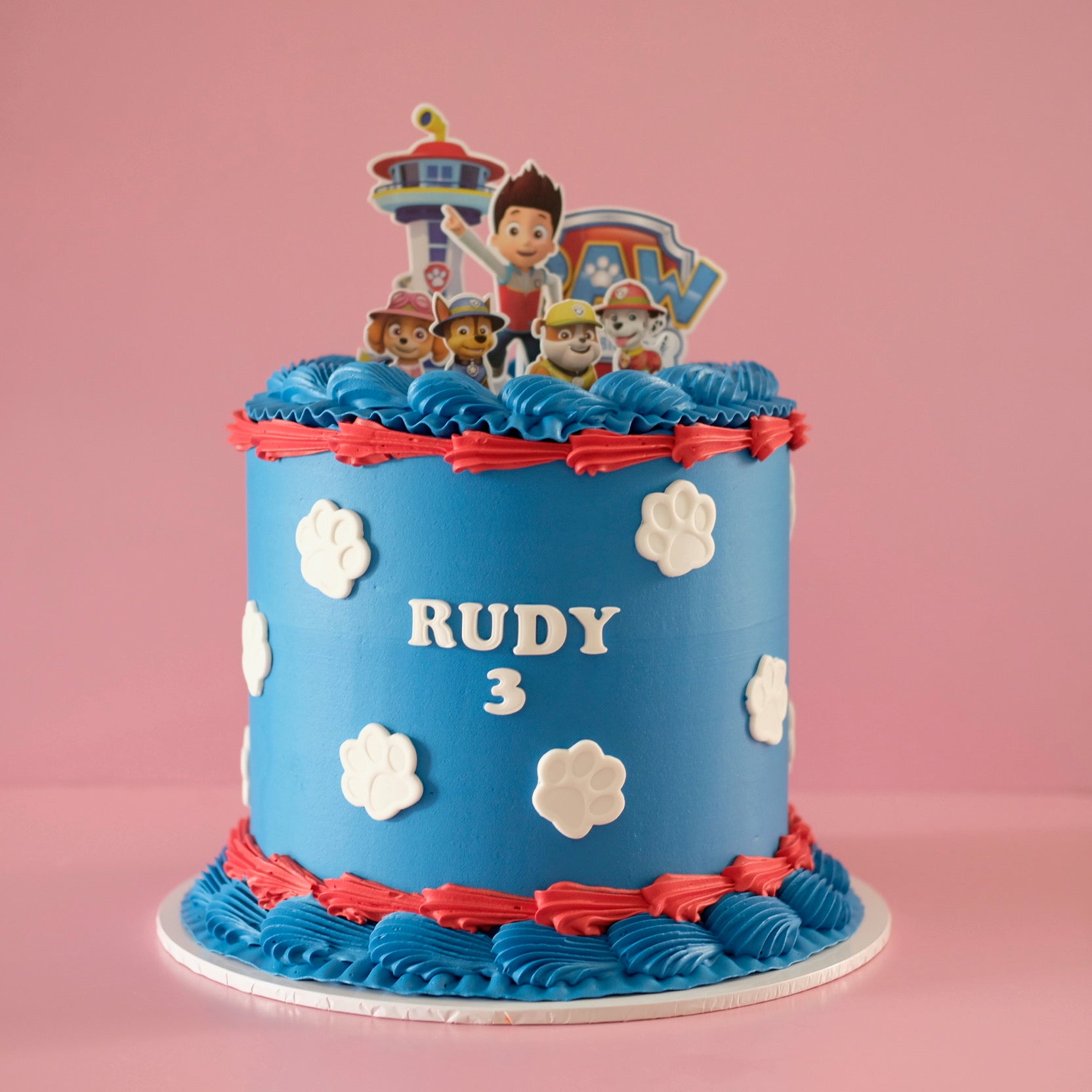 Paw Patrol Adventure | Vintage Round cake