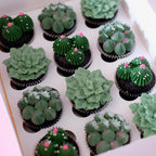 Succulent Garden Cupcake | Box of 12