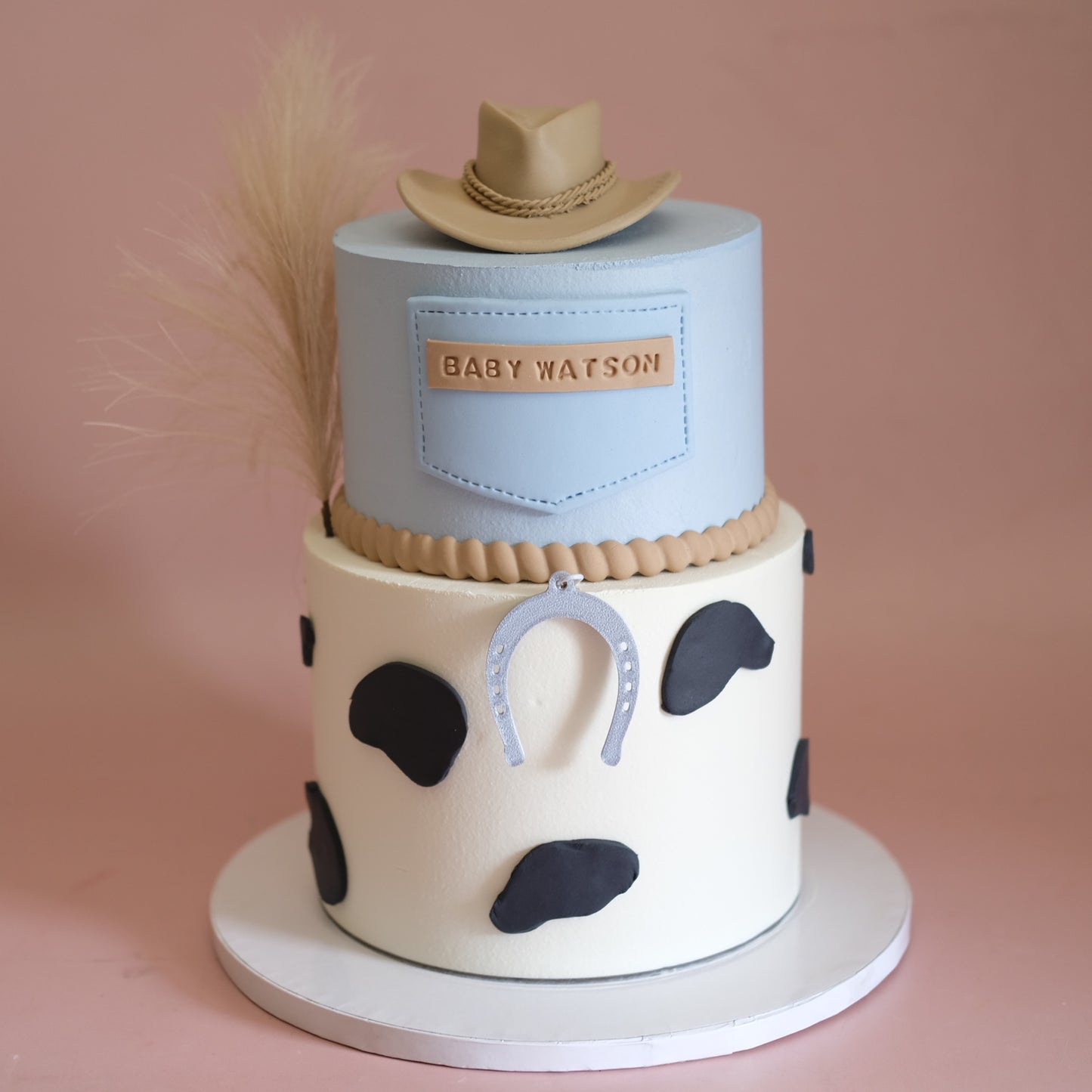 Cowboy Rodeo Cake