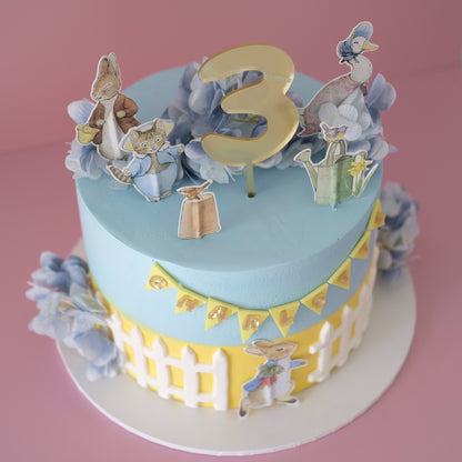 Peter Rabbit Inspired Novelty Cake