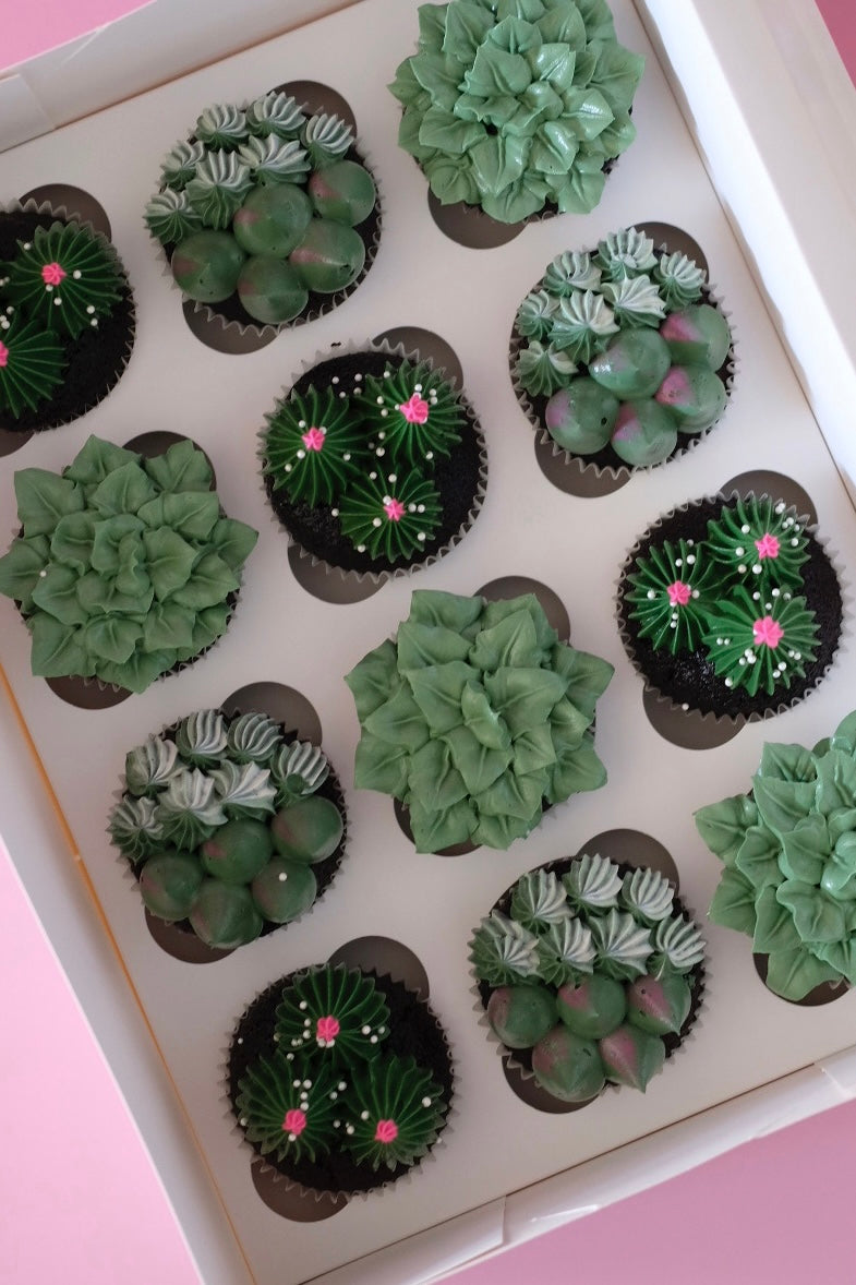 Succulent Garden Cupcake | Box of 12