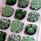 Succulent Garden Cupcake | Box of 12