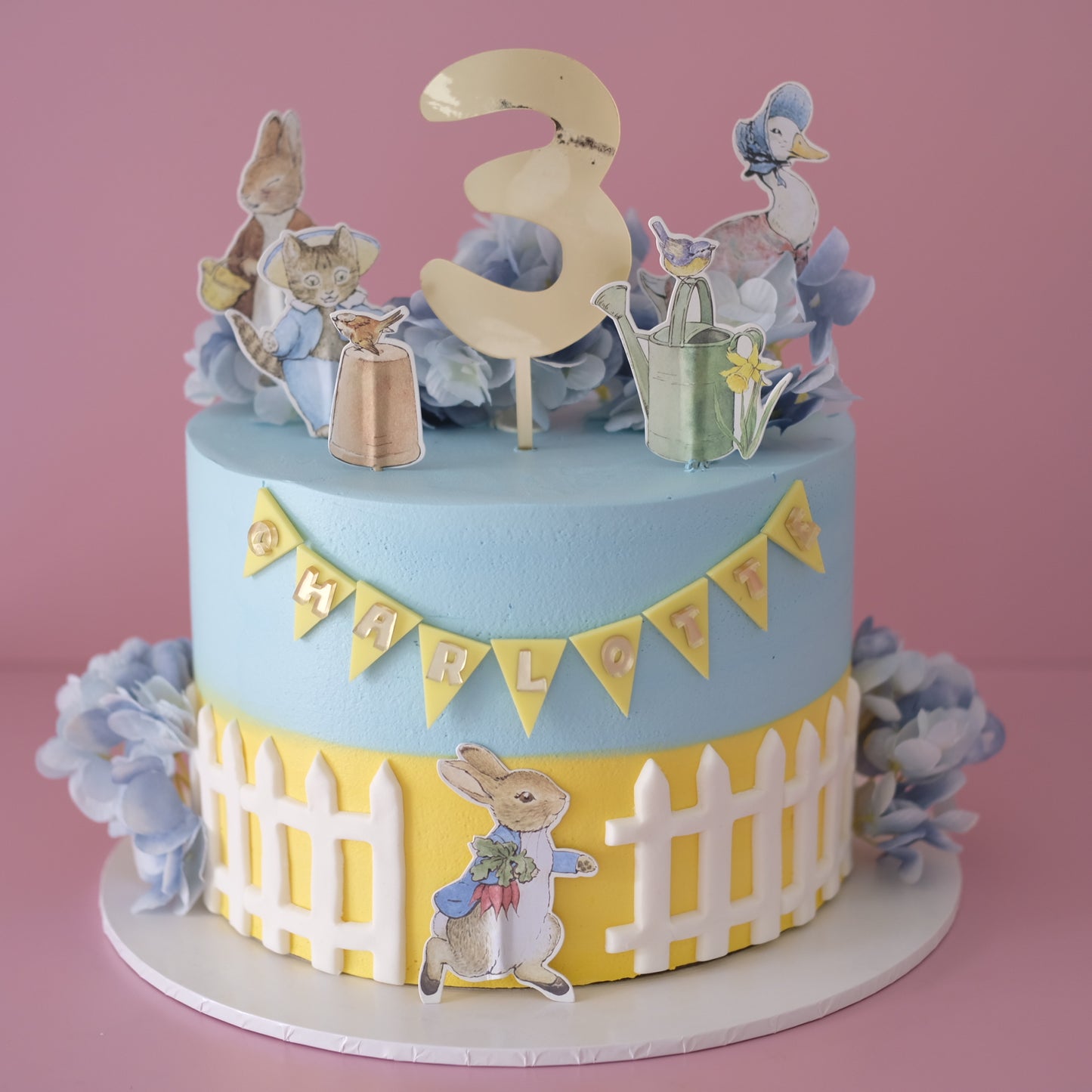 Peter Rabbit Inspired Novelty Cake