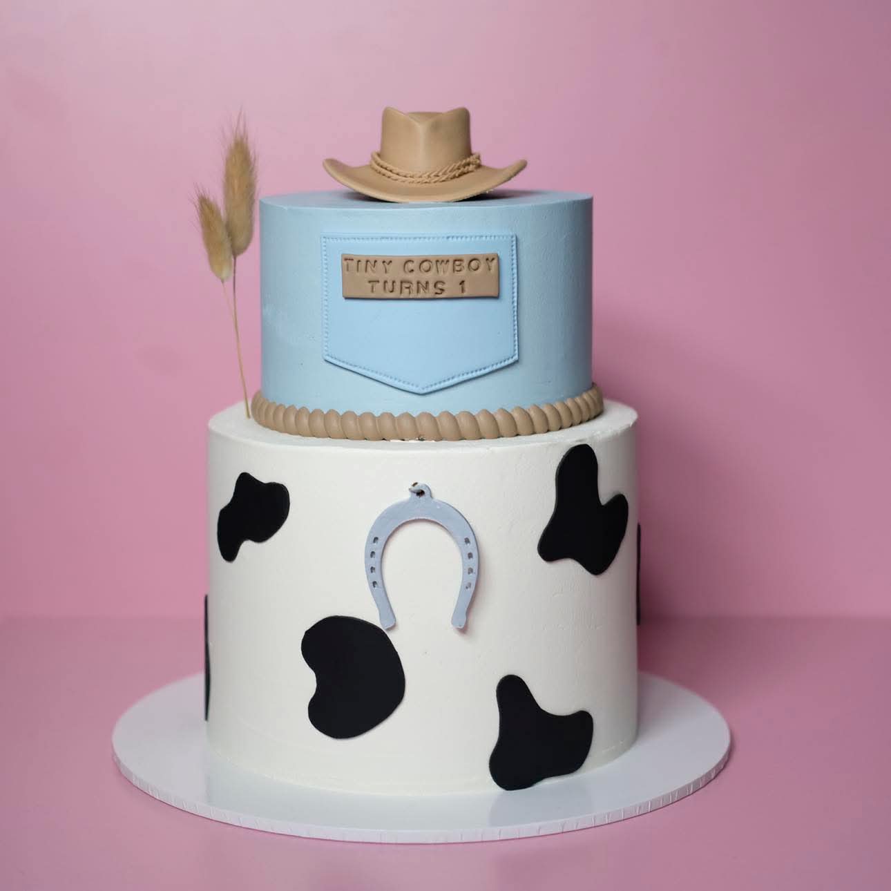 Cowboy Rodeo Cake