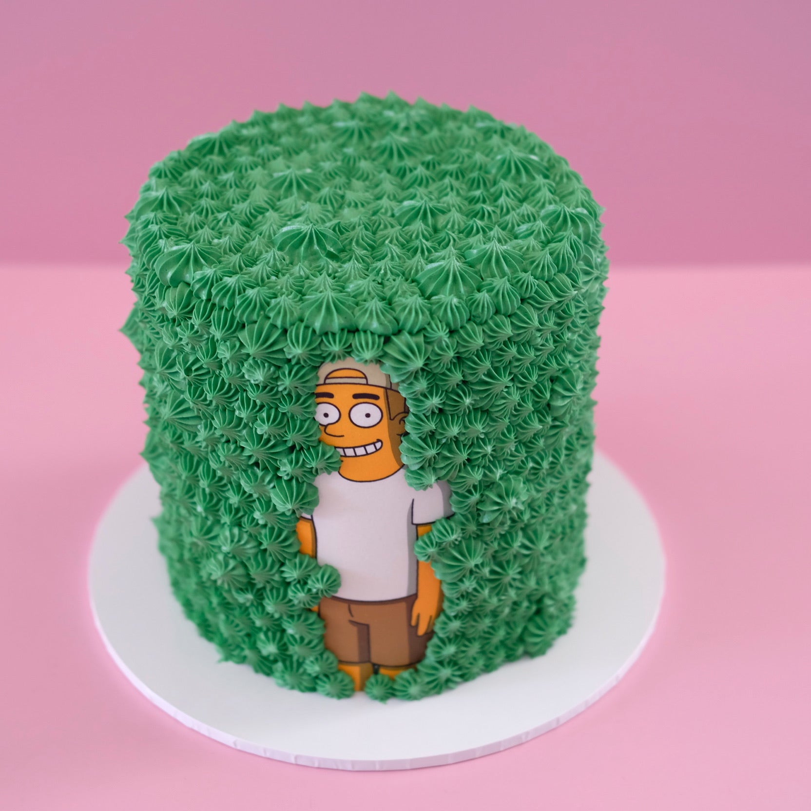 Hedge Homer Simpson | Themed Novelty Cake