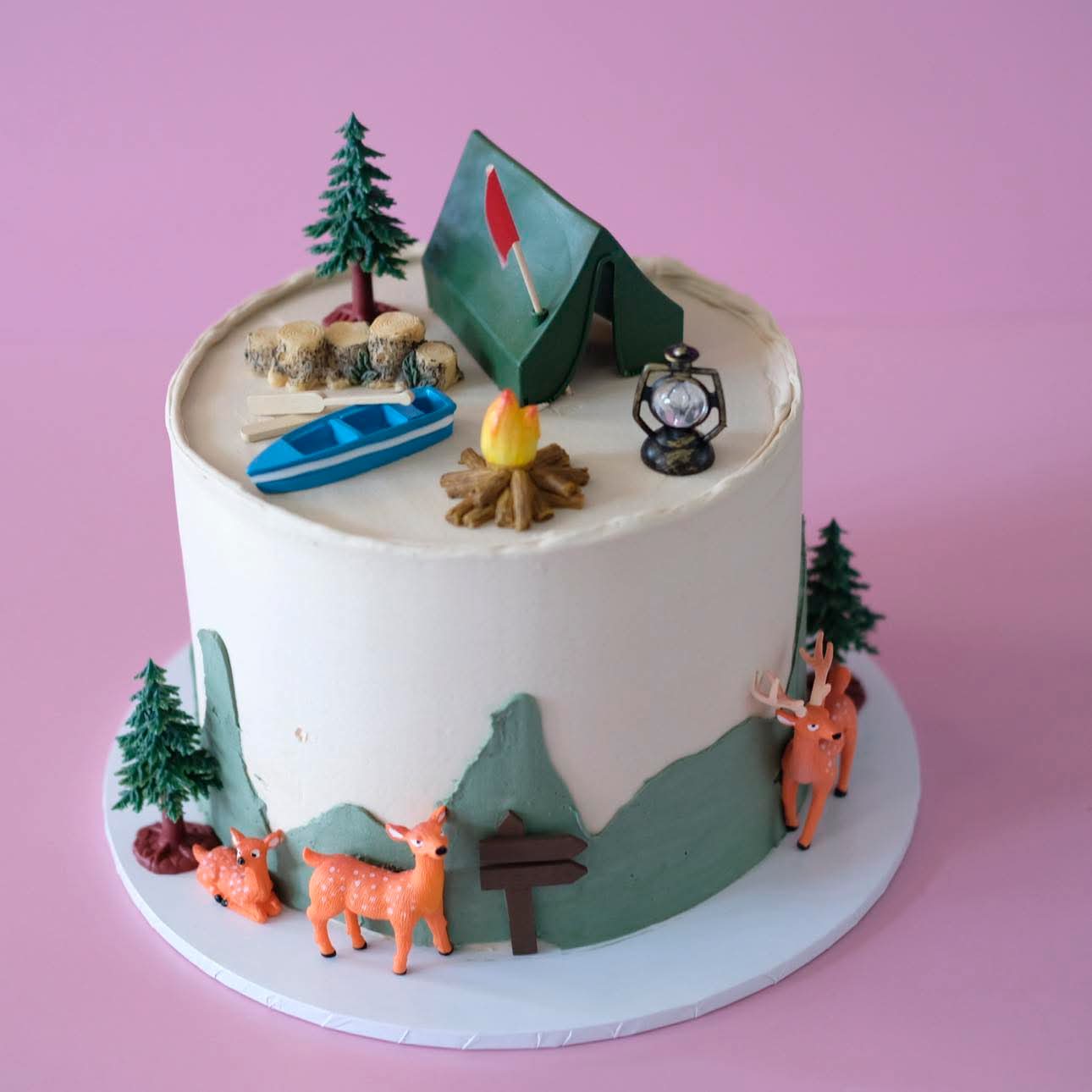 Camping Adventure | Themed Novelty Cake