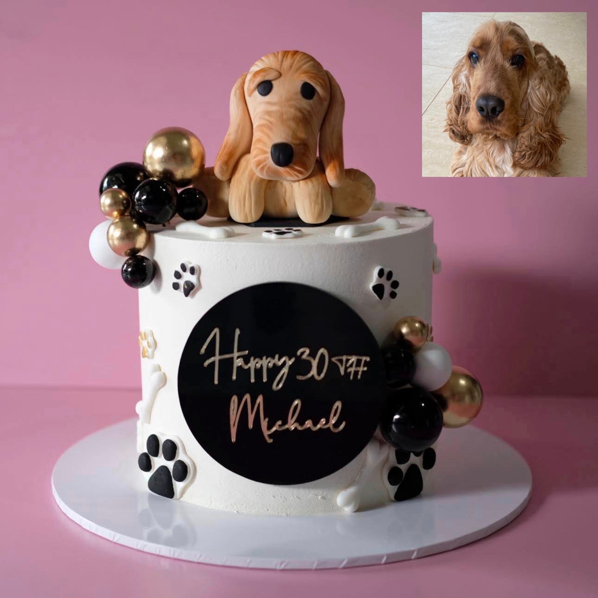 Personalised Custom Dog Cake | Themed Novelty Cake