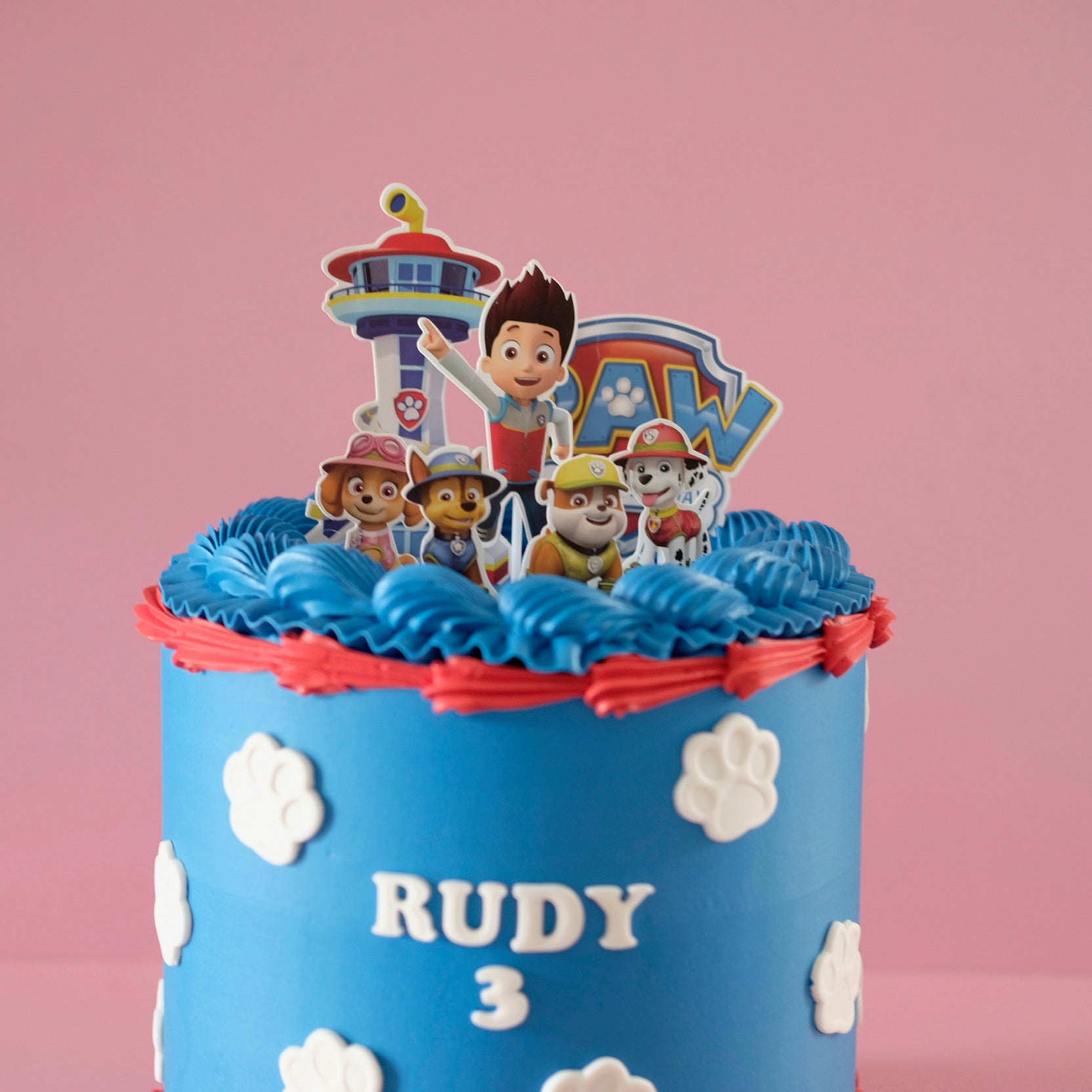 Paw Patrol Adventure | Vintage Round cake