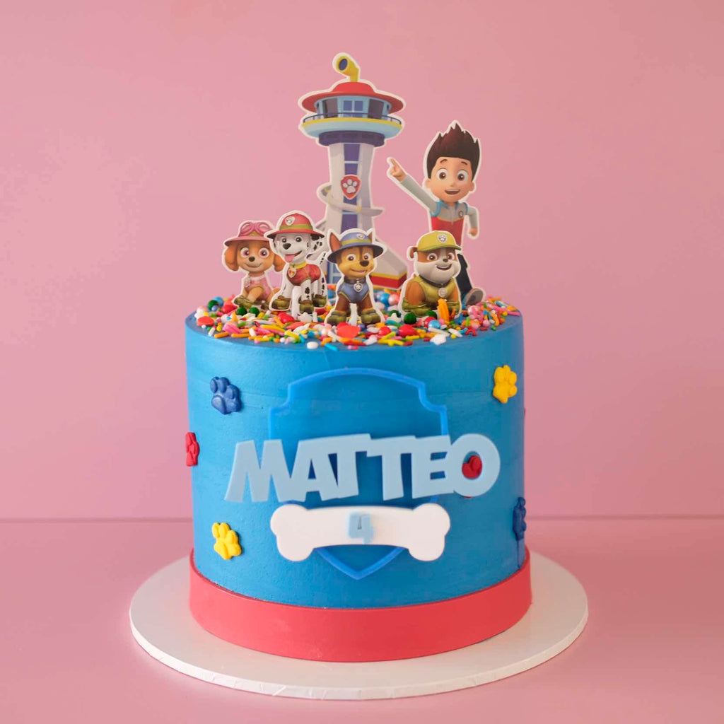 Paw Patrol Adventure | Themed Novelty Cake