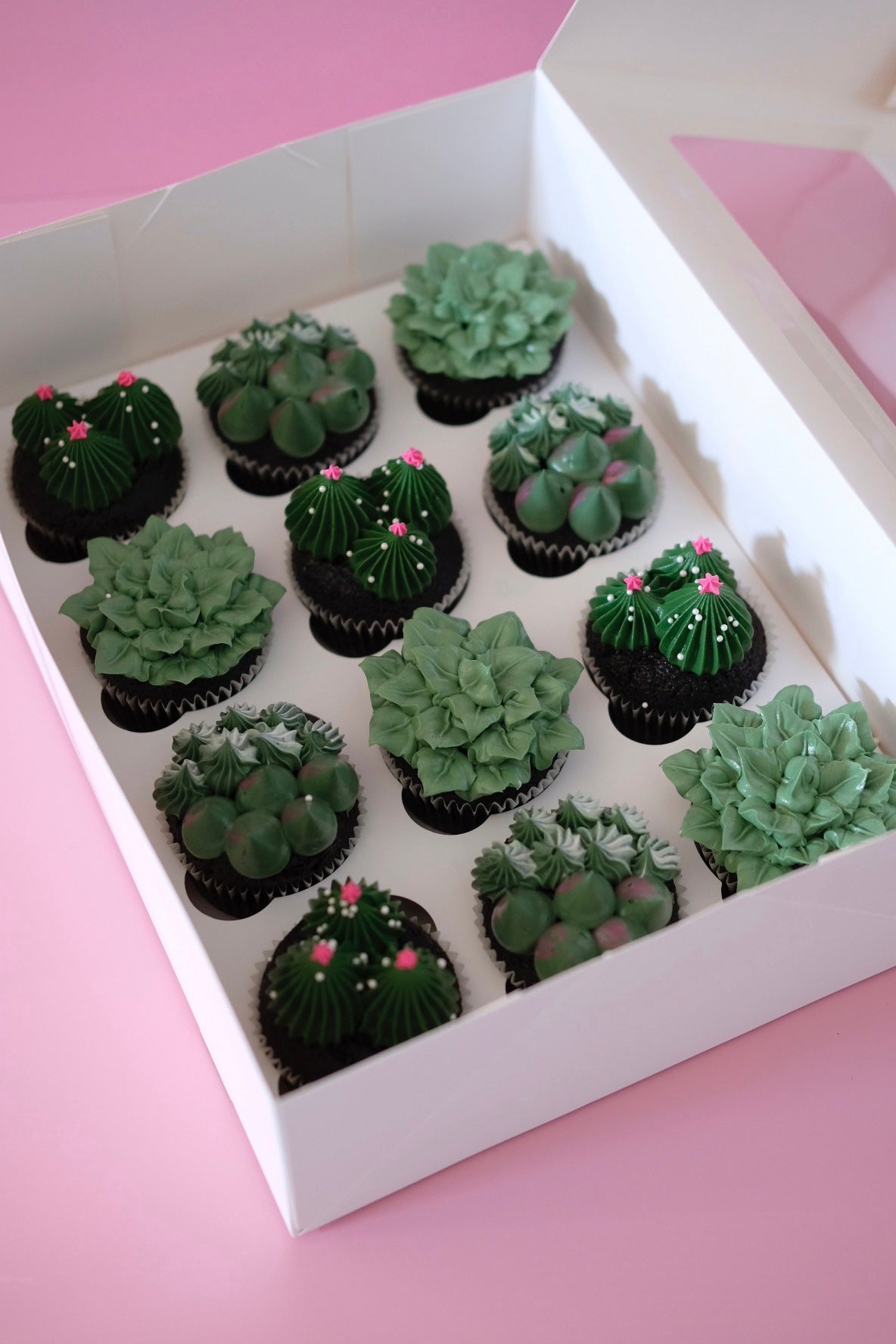 Succulent Garden Cupcake | Box of 12