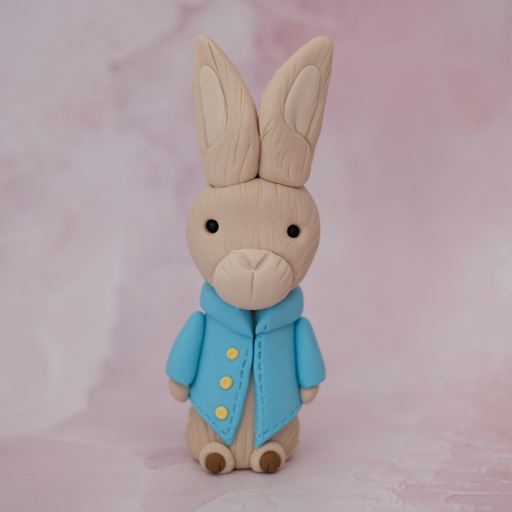 Peter Rabbit Sugar Fondant Cake Topper – Annielovescakes