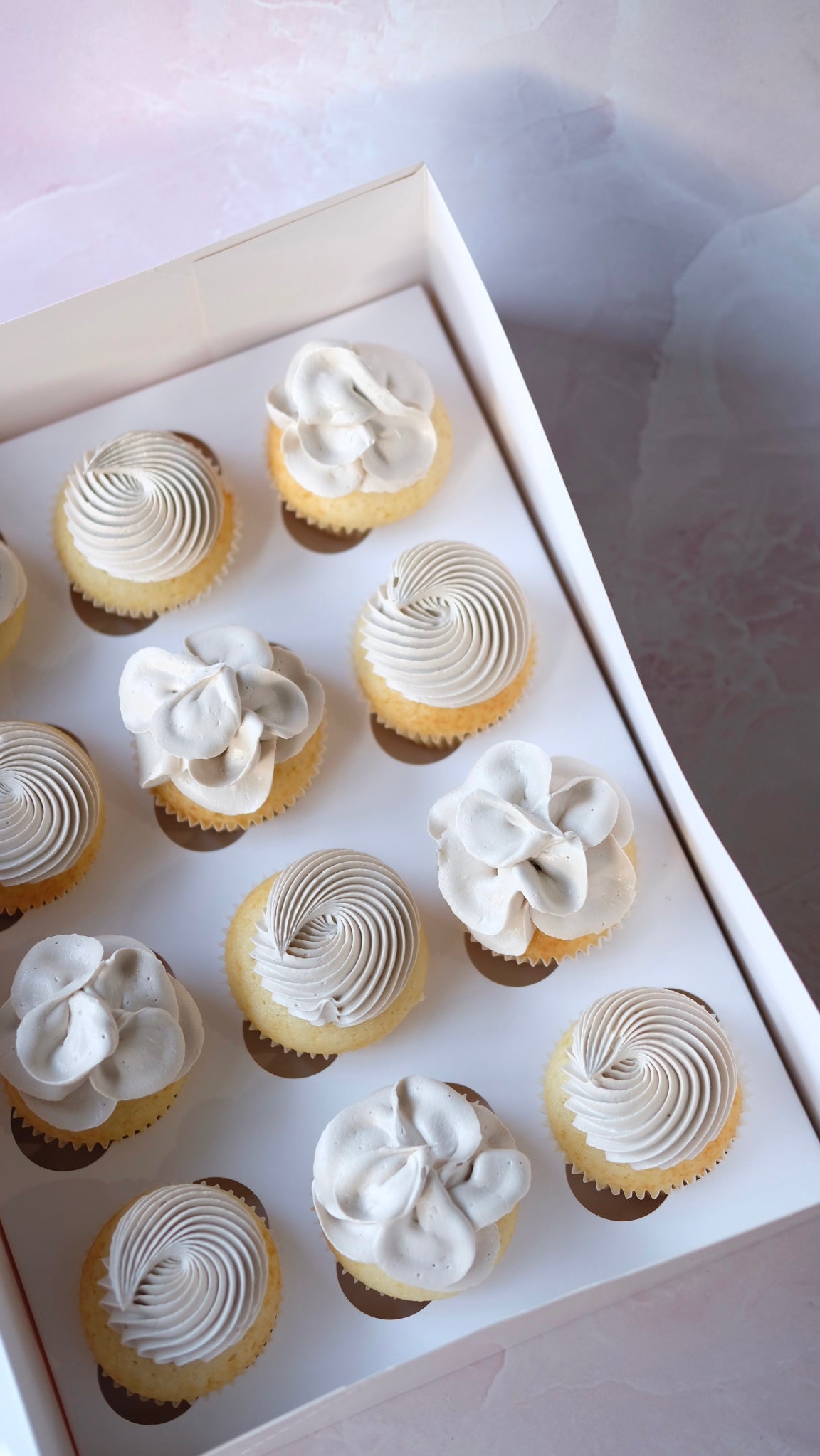 Basic Beauty Cupcakes | Box of 12