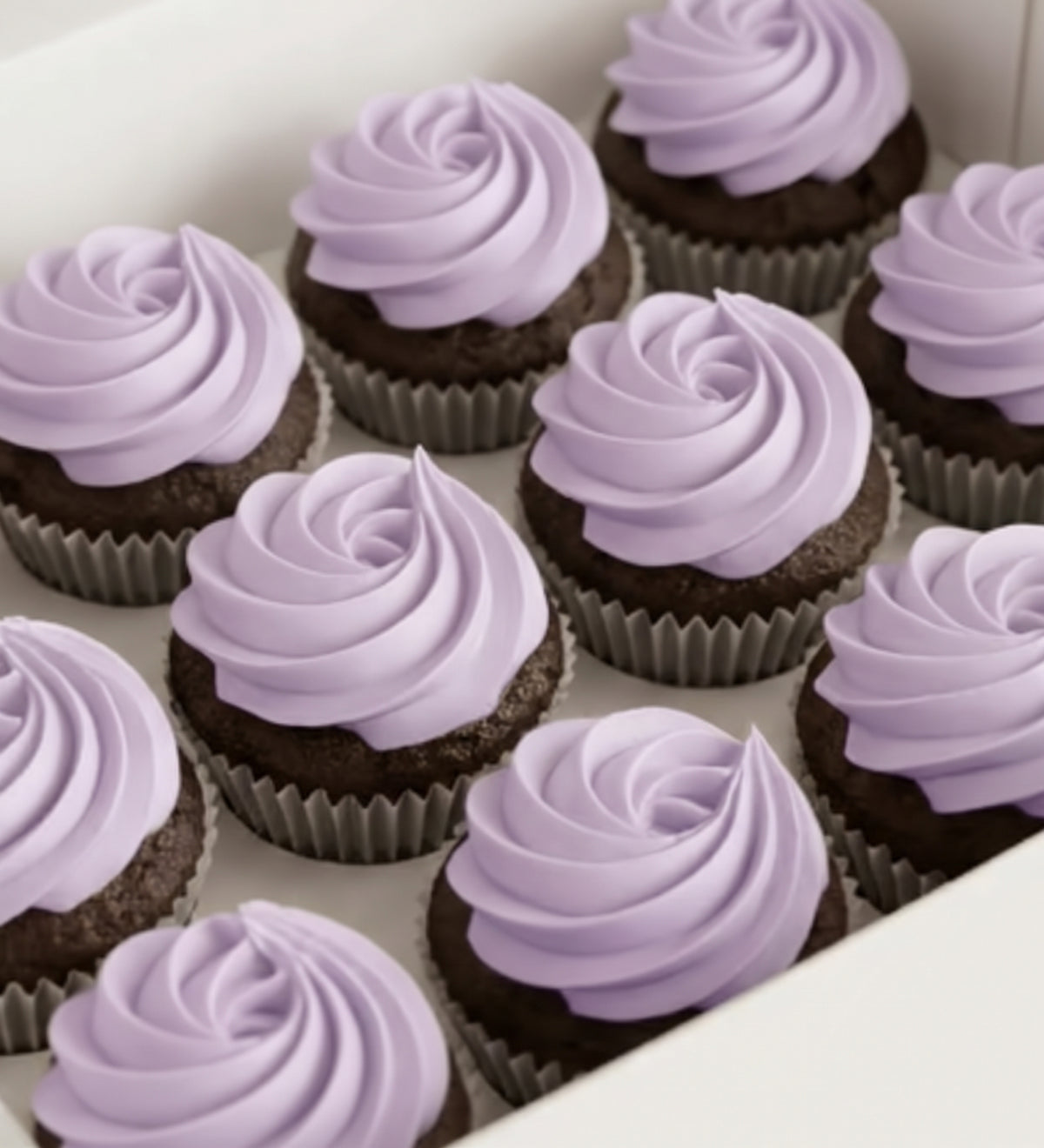 Classic Cupcakes | Box of 24